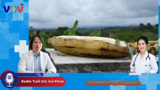 Chuối Xanh – “Siêu Thực Phẩm” Tự Nhiên Giúp Cải Thiện Tiêu Hóa, Ổn Định Đường Huyết Và Tăng Cường Sức Khỏe