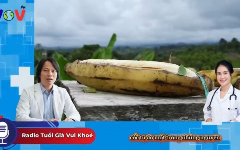 Chuối Xanh – “Siêu Thực Phẩm” Tự Nhiên Giúp Cải Thiện Tiêu Hóa, Ổn Định Đường Huyết Và Tăng Cường Sức Khỏe