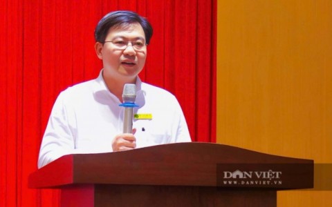 PGS.TS Kha Chấn Tuyền: Bột chuối xanh không thể bán bằng niềm tin, phải được chứng minh bằng khoa học