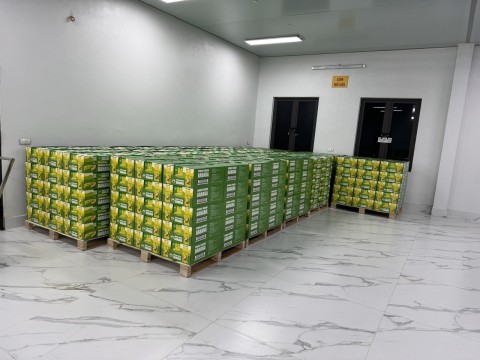Export goods to multiple countries