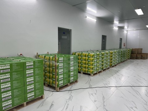 Export goods to multiple countries