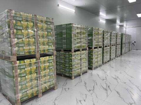 Export goods to multiple countries