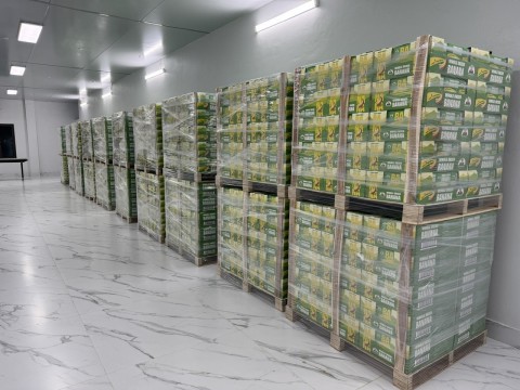 Export goods to multiple countries
