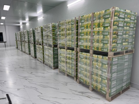 Export goods to multiple countries