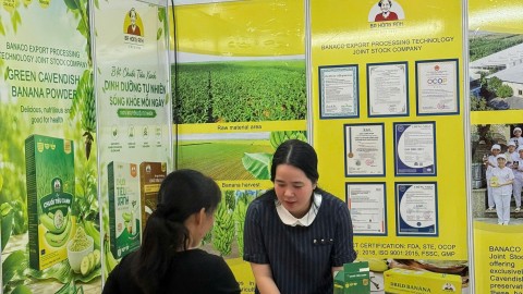 Hội chợ triển lãm đầu tư hành lang kinh tế đông tây - Đà Nẵng 2026