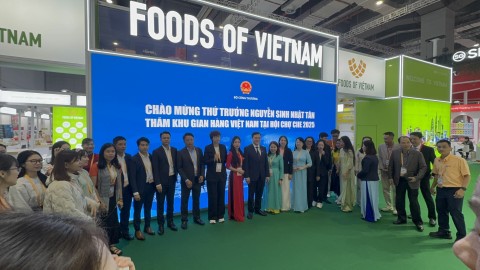 Hội chợ CIIE - Thượng Hải 2025