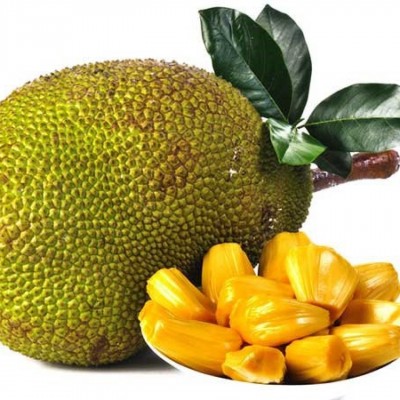 Dried Jackfruit (Out of stock)