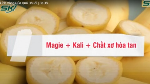 Báo Sức Khỏe Đời Sống: 5 lợi ích vàng của chuối