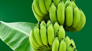 Quê hương của cây chuối Và những điều bạn chưa biết về cây chuối